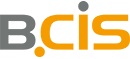 BCIS IT-Systeme GmbH & Co. KG